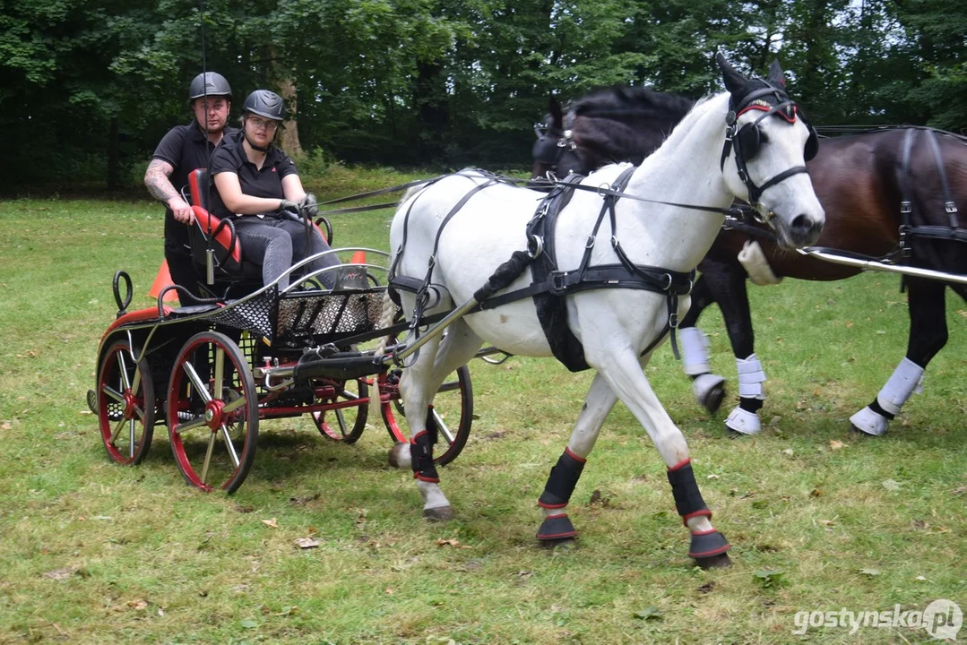 Rokosowo Horse Show 2024 - dzień pierwszy