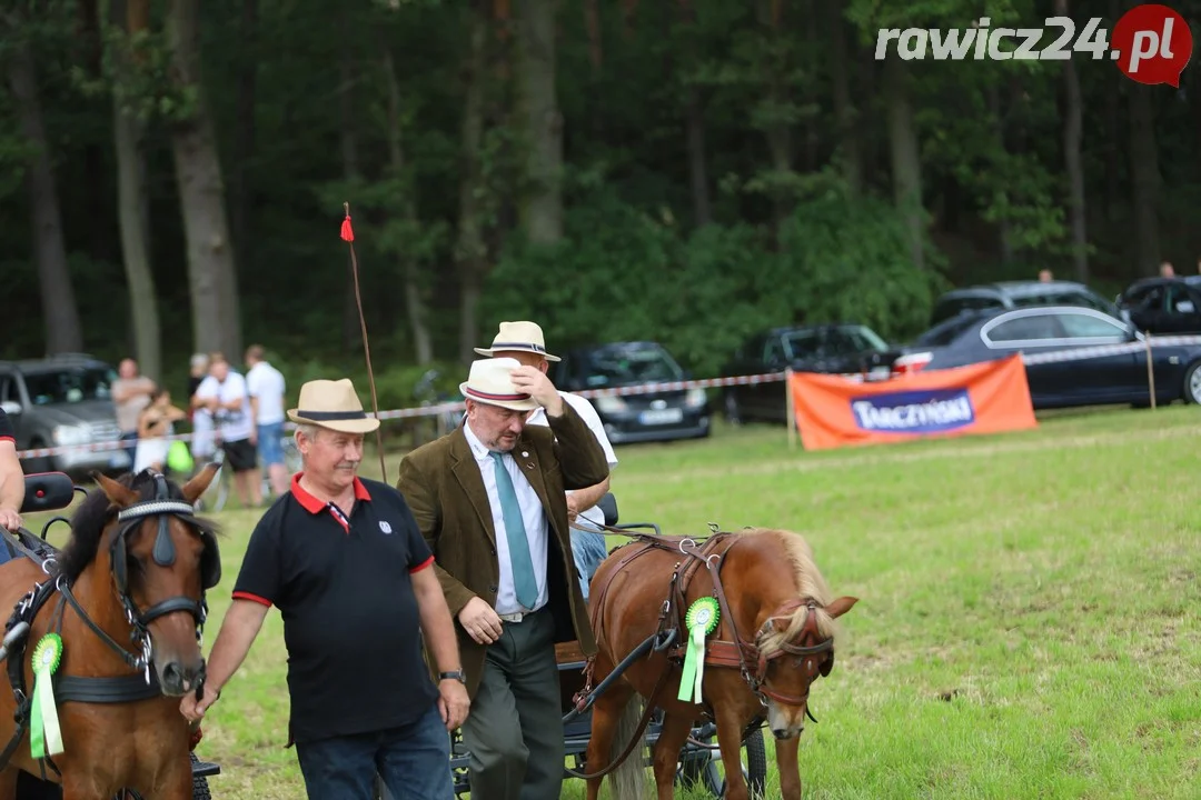 Zawody konne w Pakosławiu