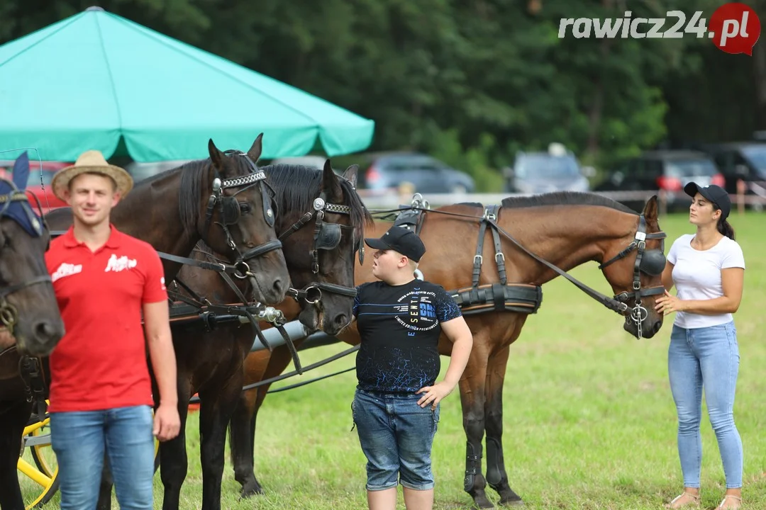 Zawody konne w Pakosławiu