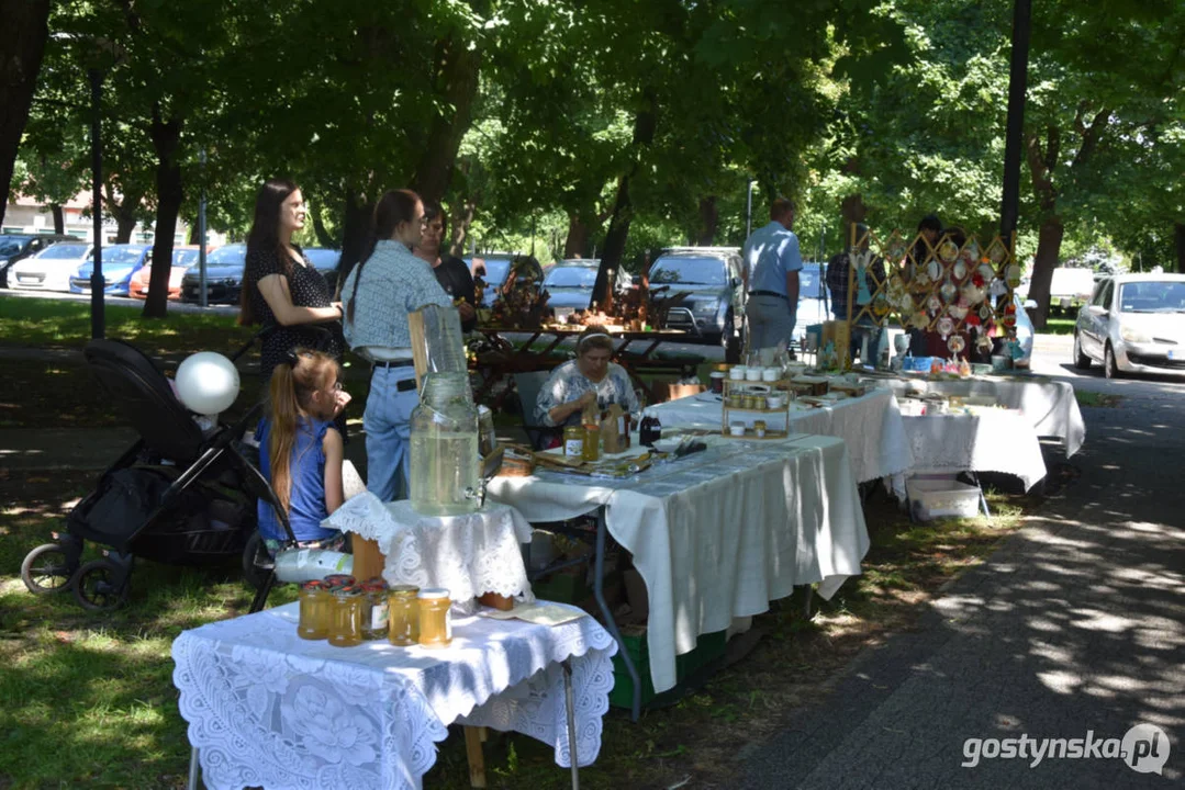 Lokalni Wy-Twórcy w akcji - na kilka godzin do życia przywrócili planty w Gostyniu