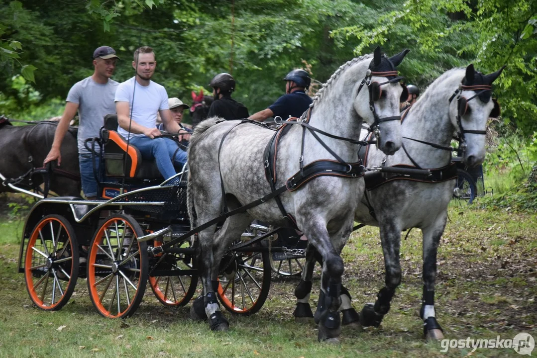 Rokosowo Horse Show 2024 - dzień pierwszy