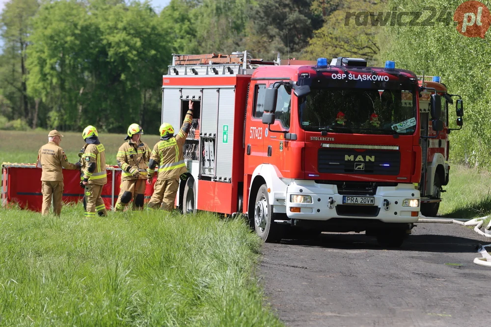 Pożar w lesie pomiędzy Zieloną Wsią a Dębnem Polskim