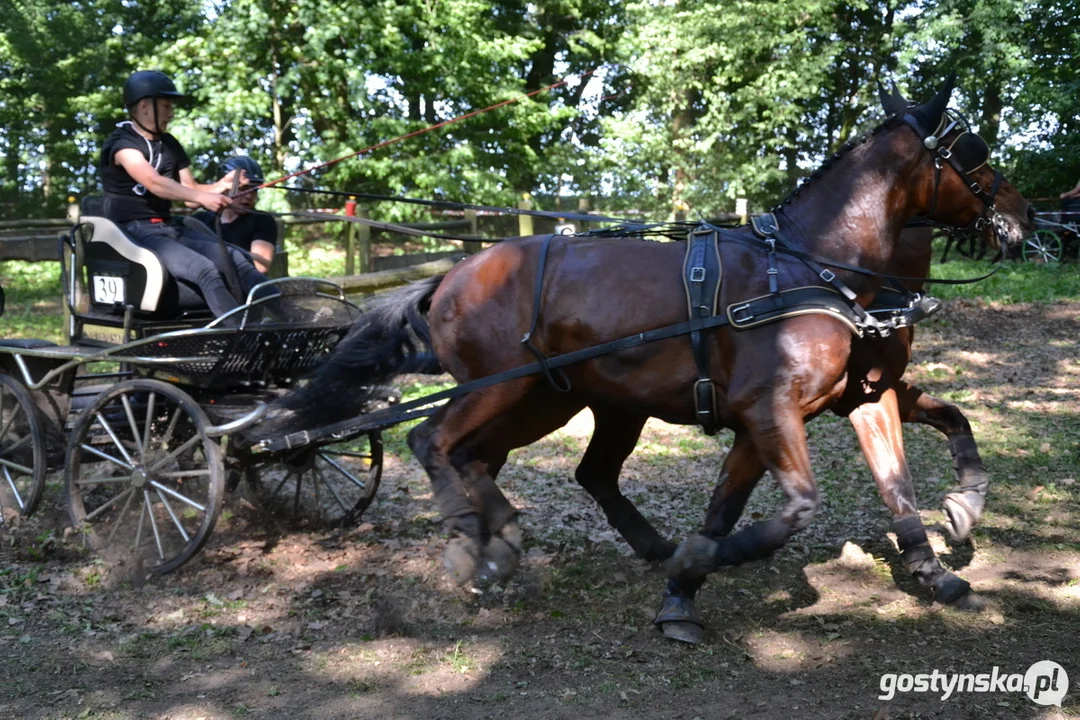 Rokosowo Horse Show 20224 - Konie i Powozy na Zamku Wielkopolskim w Rokosowie