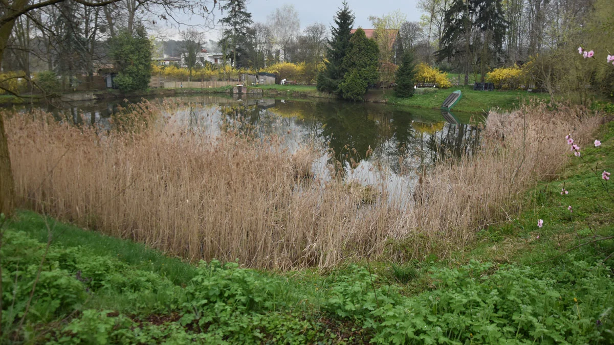 Gmina Gostyń ma na oku stawy. Ile dostaną kasy? - Zdjęcie główne