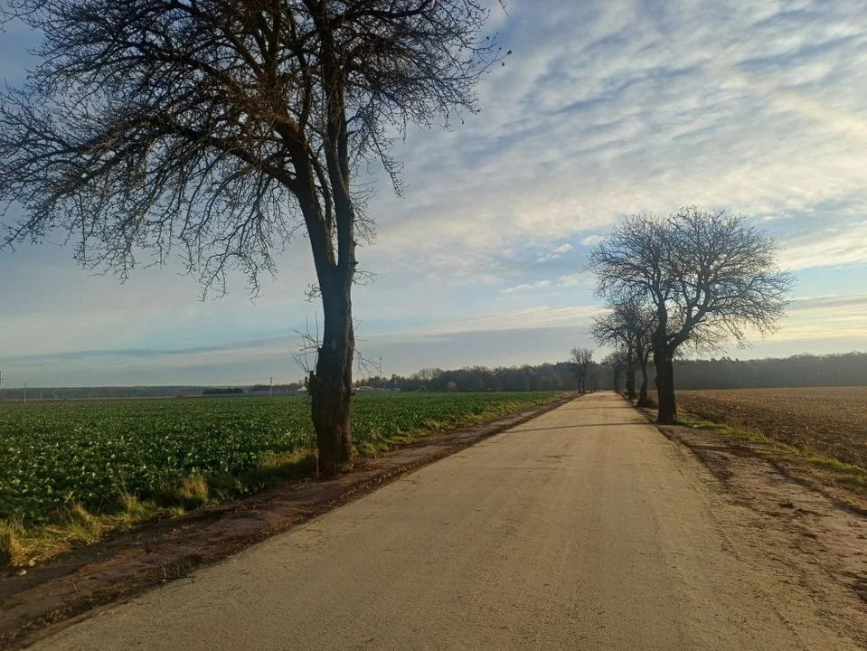 Drogi do pól w gminie Kotlin