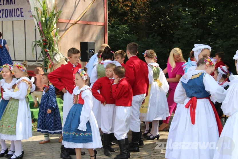 Kolorowe dożynki w Lenartowicach