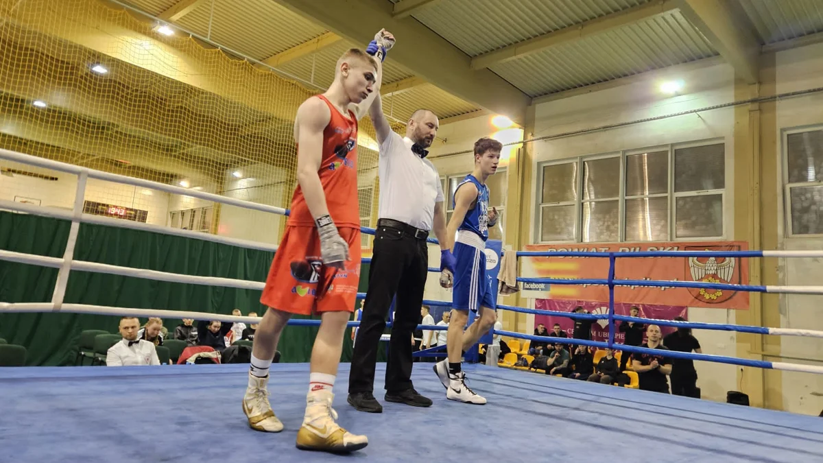 Osiem złotych medali Sportów Walki Gostyń w Mistrzostwach Wielkopolski w boksie