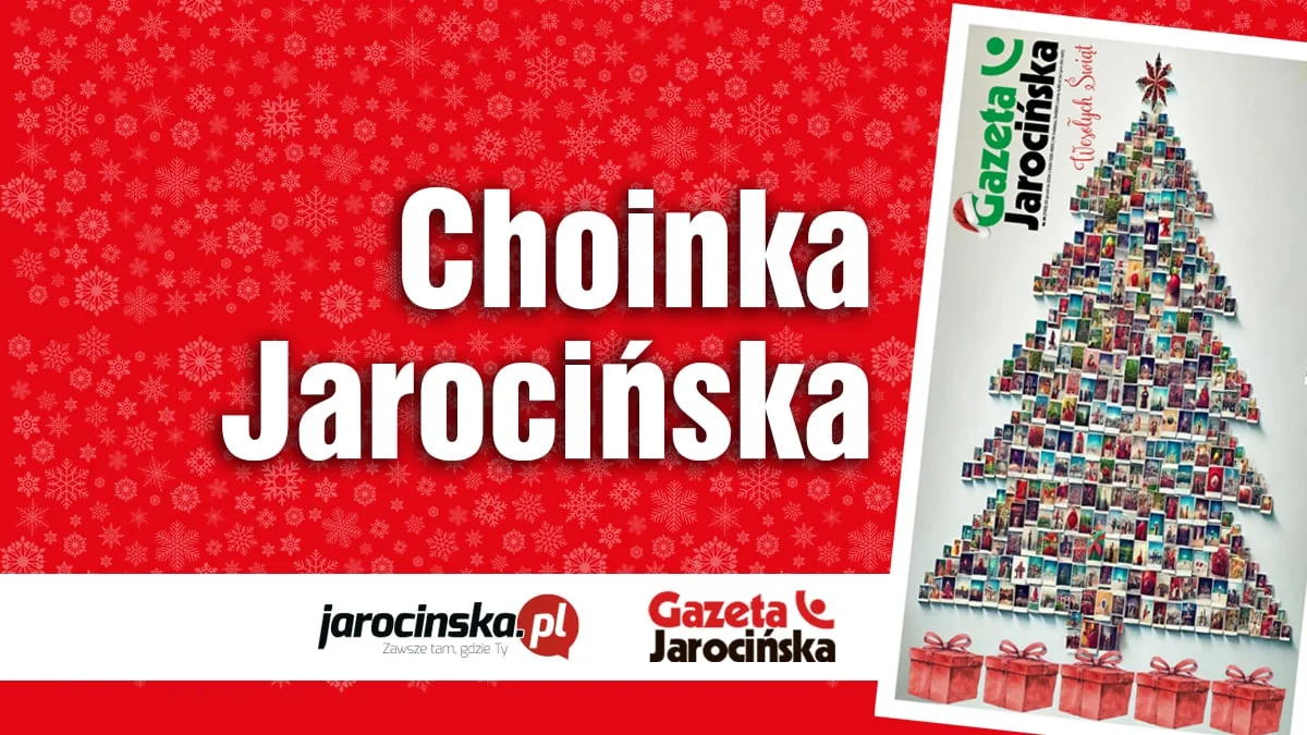 Choinka Jarocińska 22024