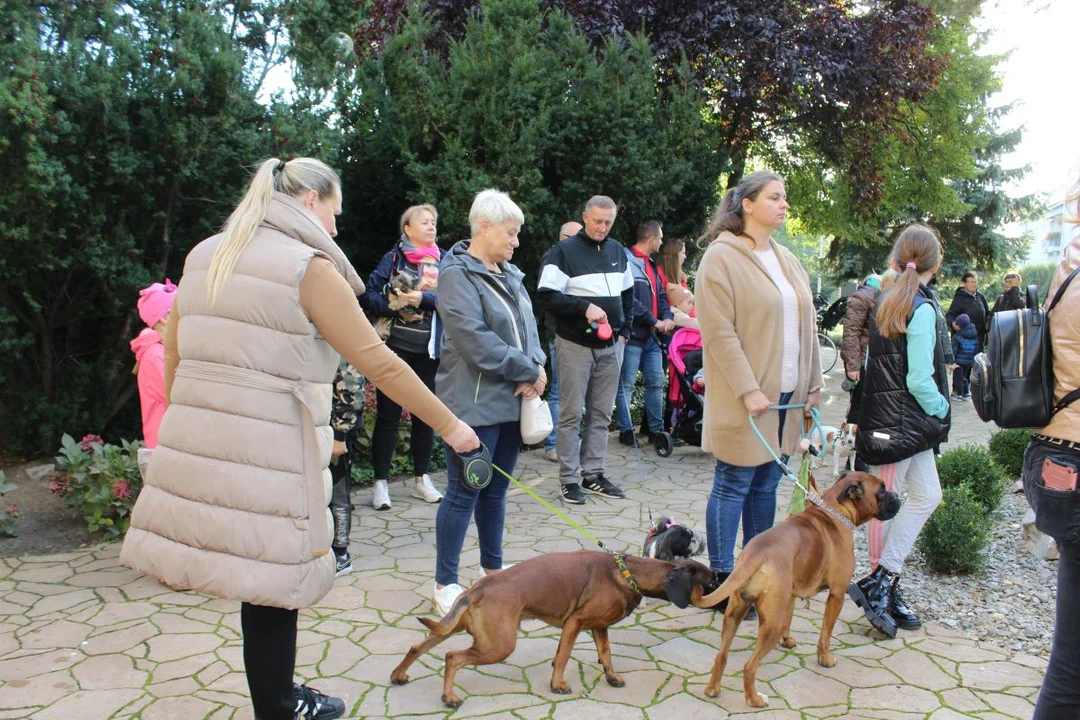 Franciszkanie w Jarocinie. Odpust św. Franciszka z Asyżu