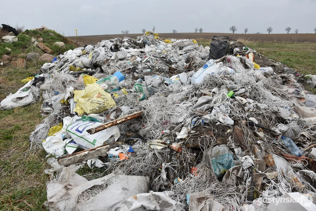 Ogromna hałda śmieci na polu w Żytowiecku