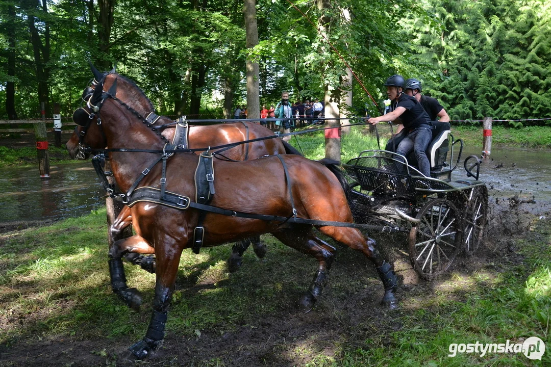 Rokosowo Horse Show 20224 - Konie i Powozy na Zamku Wielkopolskim w Rokosowie