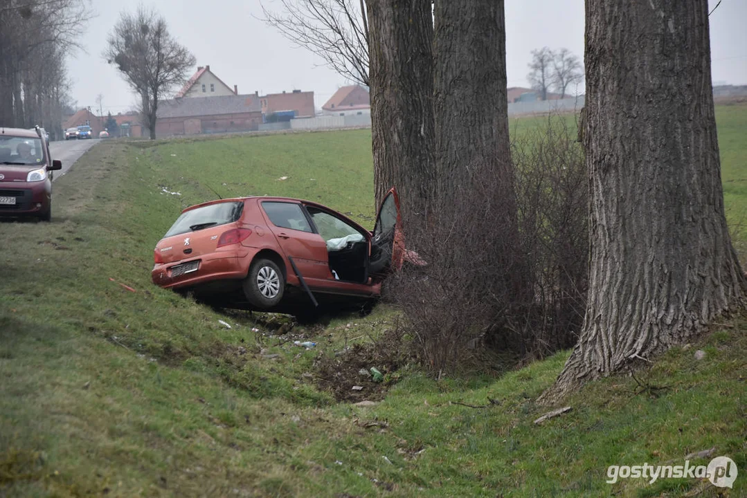 Wypadek samochodowy na drodze Strzelce Wielkie - Lipia (droga Piaski - Pogorzela)