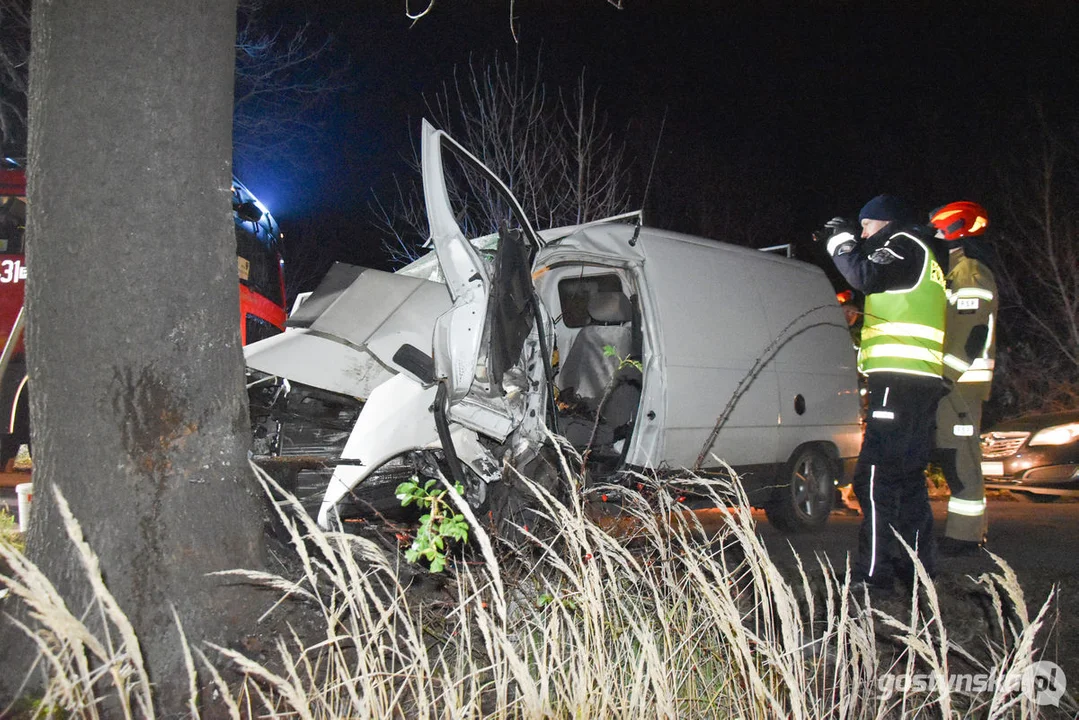 Czołówka z drzewem. Wypadek w Grodzisku (gm. Poniec)