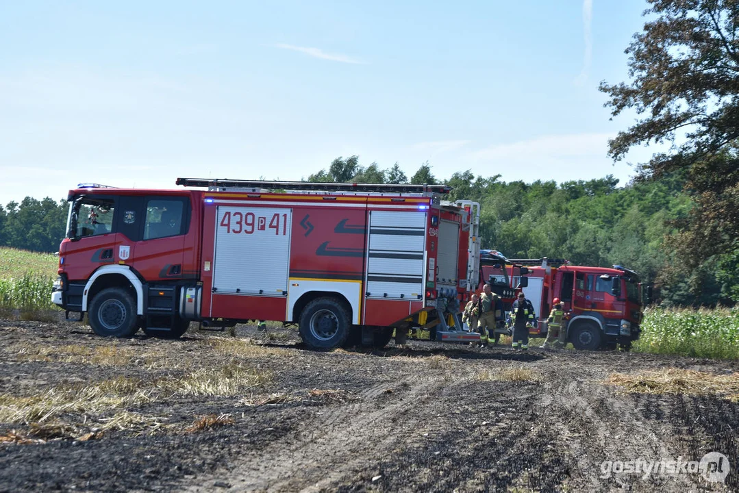 Pożar zboża w Osowie (gm. Gostyń)