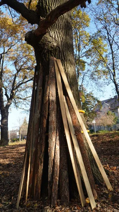 Park przy ulicy Szubianki w Jarocinie