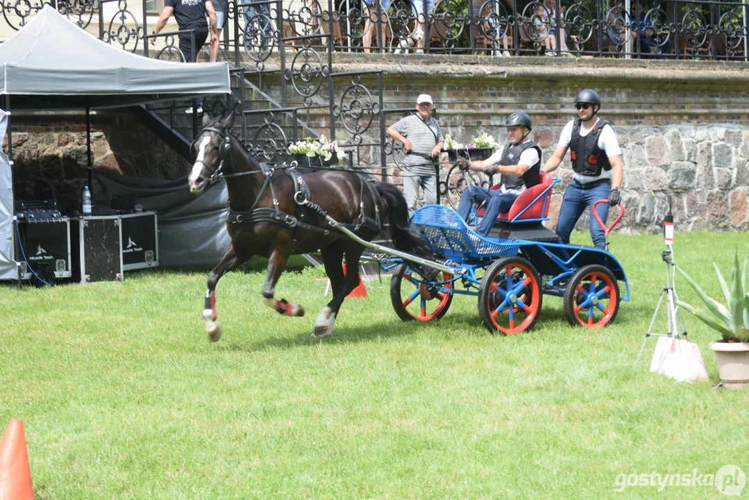 Rokosowo Horse Show 2024 - dzień pierwszy