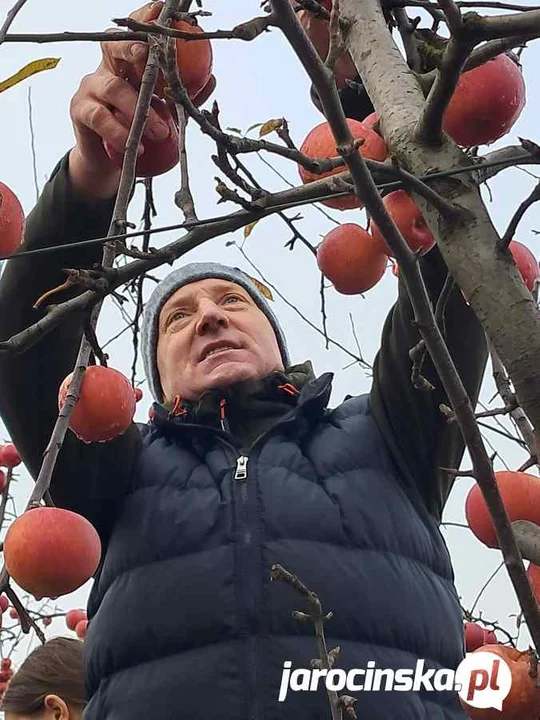 Pana z Jabłkami w Jarocinie kojarzą wszyscy. Zajrzeliśmy do jego sadu w Grójcu