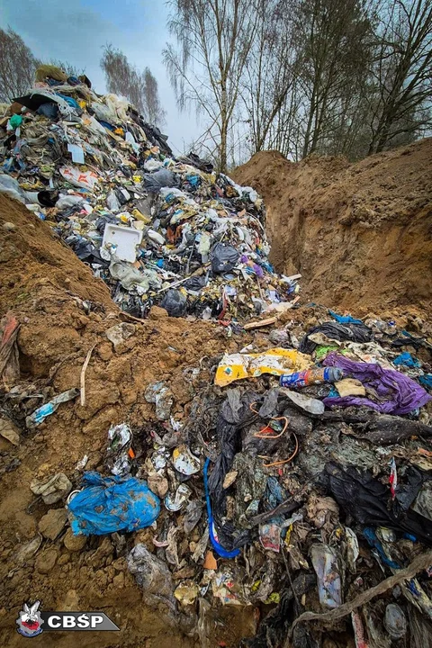 Po kilkumiesięcznych działaniach policji z Poznania ujawniono zorganizowany proceder nielegalnego zagospodarowania odpadów komunalnych