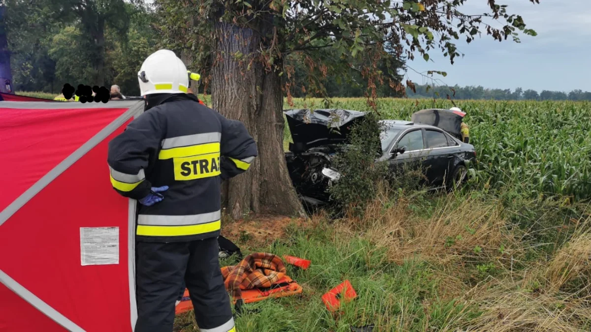 Zderzenie samochodu osobowego z drzewem na trasie Skoraszewice - Wilkonice