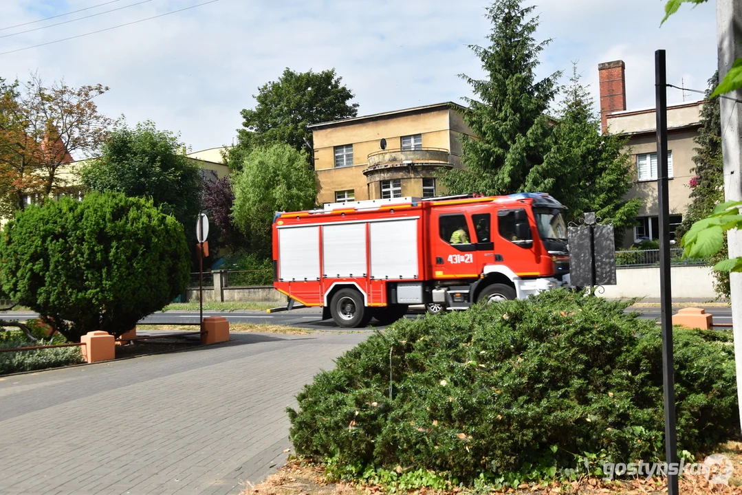 Pożar w podgostyńskim lesie