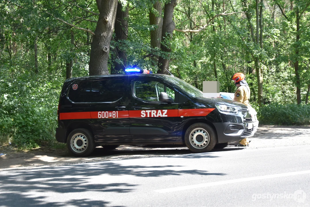 Pożar lasu na granicy powiatu gostyńskiego