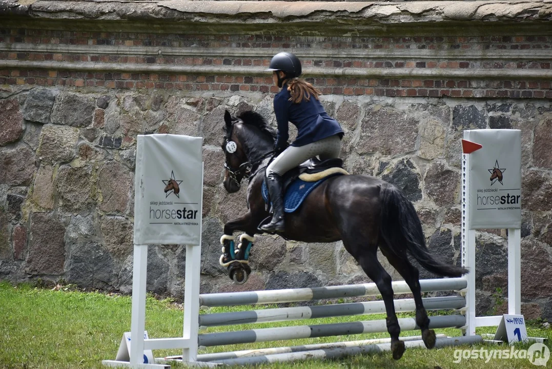 Rokosowo Horse Show - dzień drugi