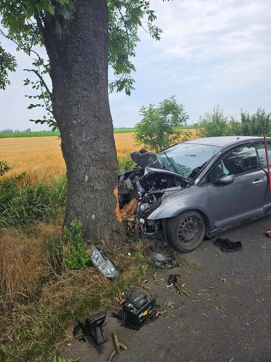 Mieszkanka pow. gostyńskiego uderzyła w drzewo w gm. Kobylin