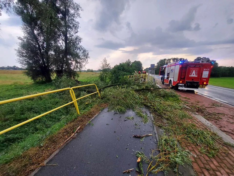 Nawałnica w Wielkopolsce. Zerwane dachy, linie energetyczne i połamane drzewa