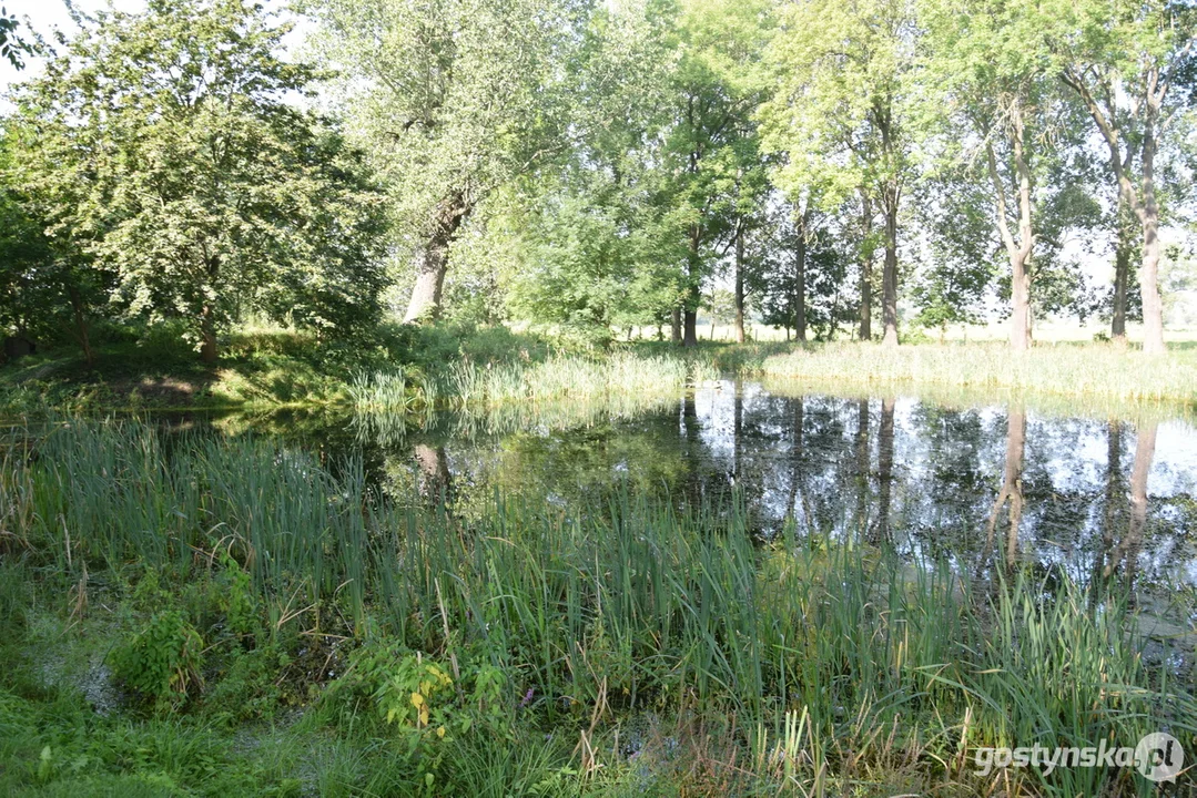 Rewitalizacja stawów w Pudliszkach, Ziemlinie, Posadowie i Chumiętkach