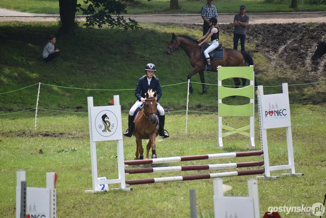 Rokosowo Horse Show - dzień drugi