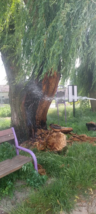 Pożar na placu zabaw w Dobrzycy