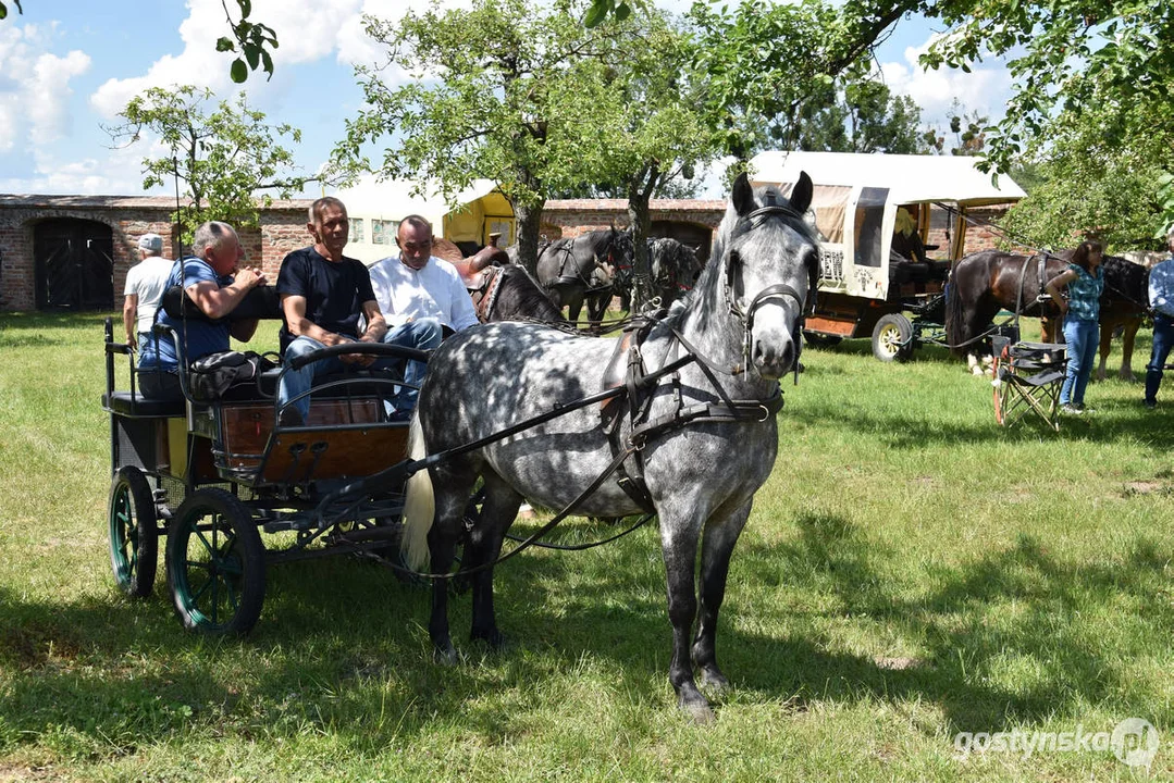 V Pielgrzymka Konna i Zaprzęgów Konnych na Świętą Górę