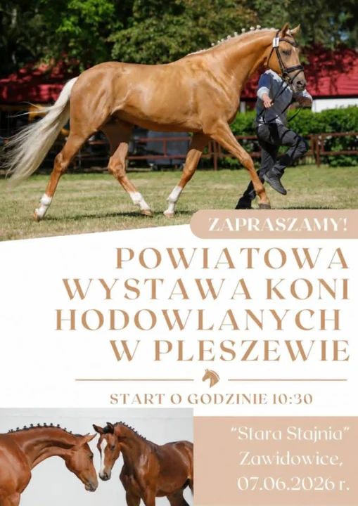 Imprezy w Pleszewie i okolicach [5-7 czerwca 2026]