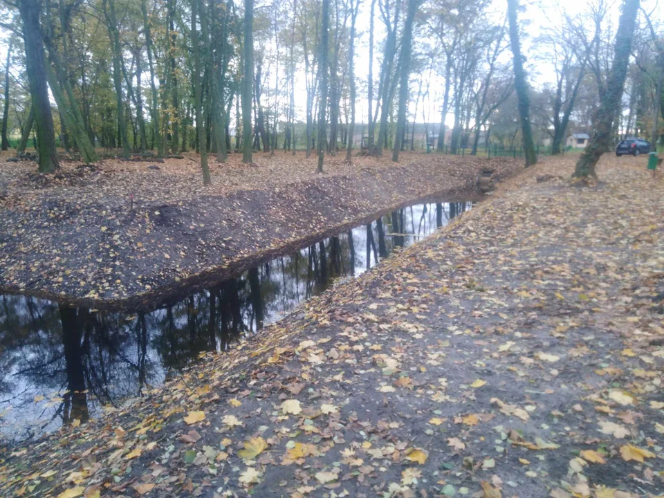 Przeprowadzili renowację stawu w Pakosławiu. Prace zakończone przed czasem - Zdjęcie główne