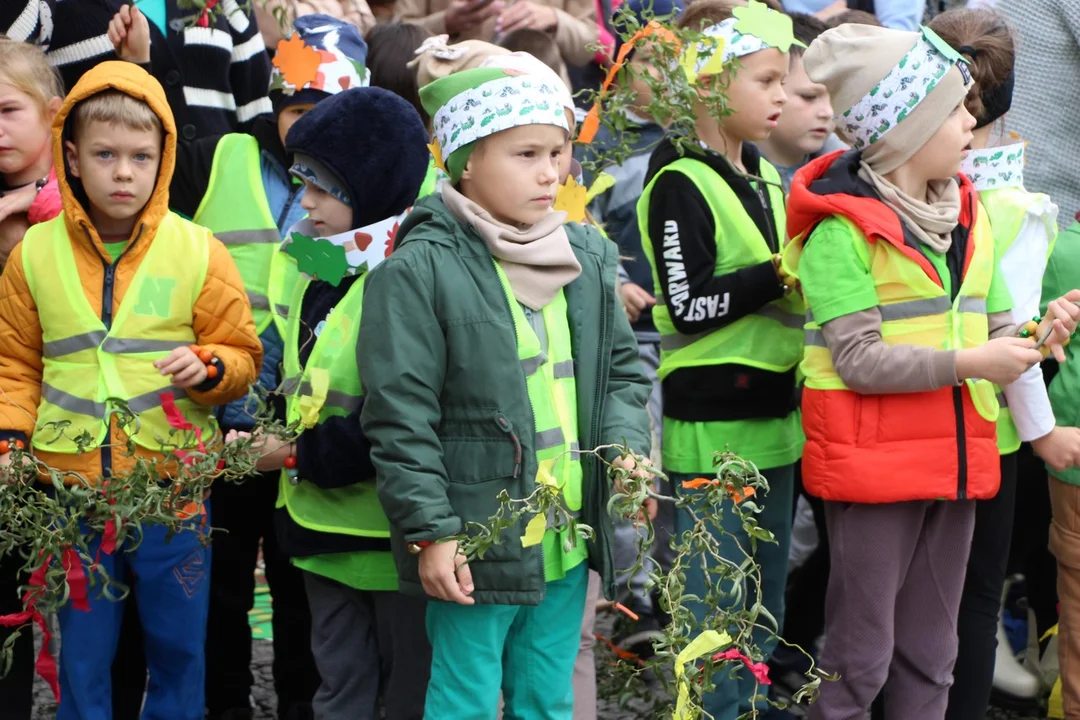 Dzień Drzewa w Pleszewie. To było wyjątkowe wydarzenie! [ZDJĘCIA] - Zdjęcie główne