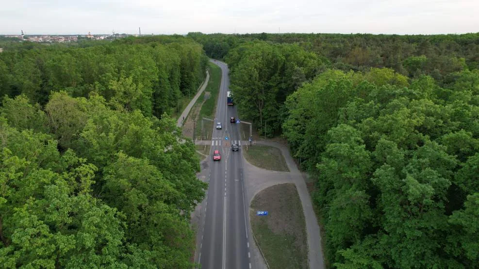 Kolejne potrącenie na przejściu dla pieszych przy ul. Poznańskiej w Jarocinie