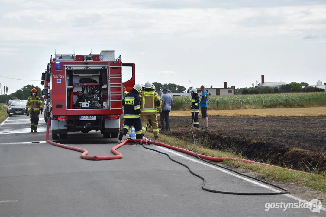 Pożar ścierniska w Daleszynie