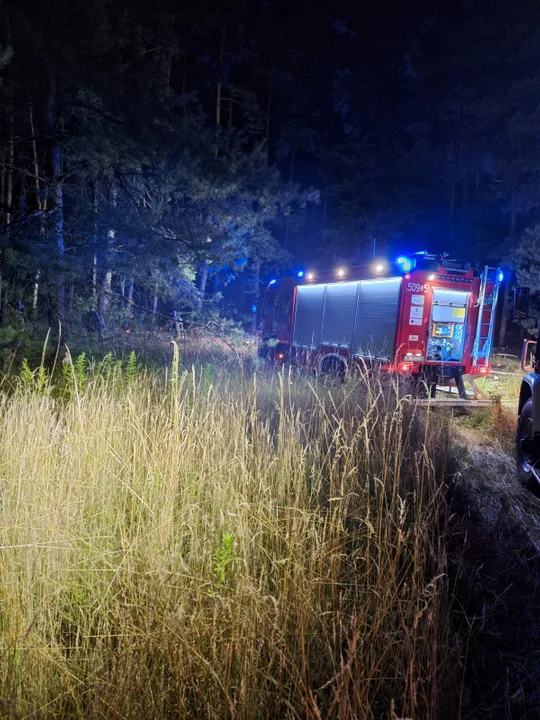 Pożar lasu na granicy powiatu krotoszyńskiego i milickiego