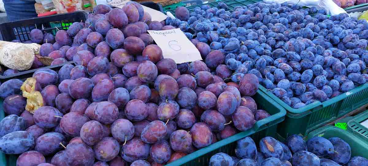 Ceny owoców i warzyw wrzesień Jarocin