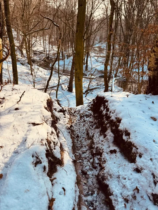 Miał być Rezerwat Lutyni, jest pobojowisko po crossowcach