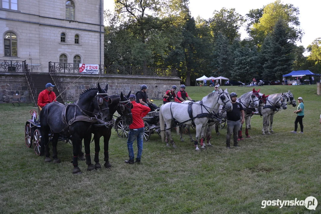 Rokosowo Horse Show 20224 - Konie i Powozy na Zamku Wielkopolskim w Rokosowie