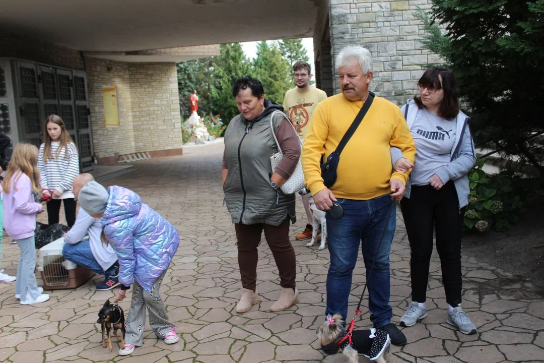 U franciszkanów w Jarocinie z okazji odpustu błogosławiono zwierzęta