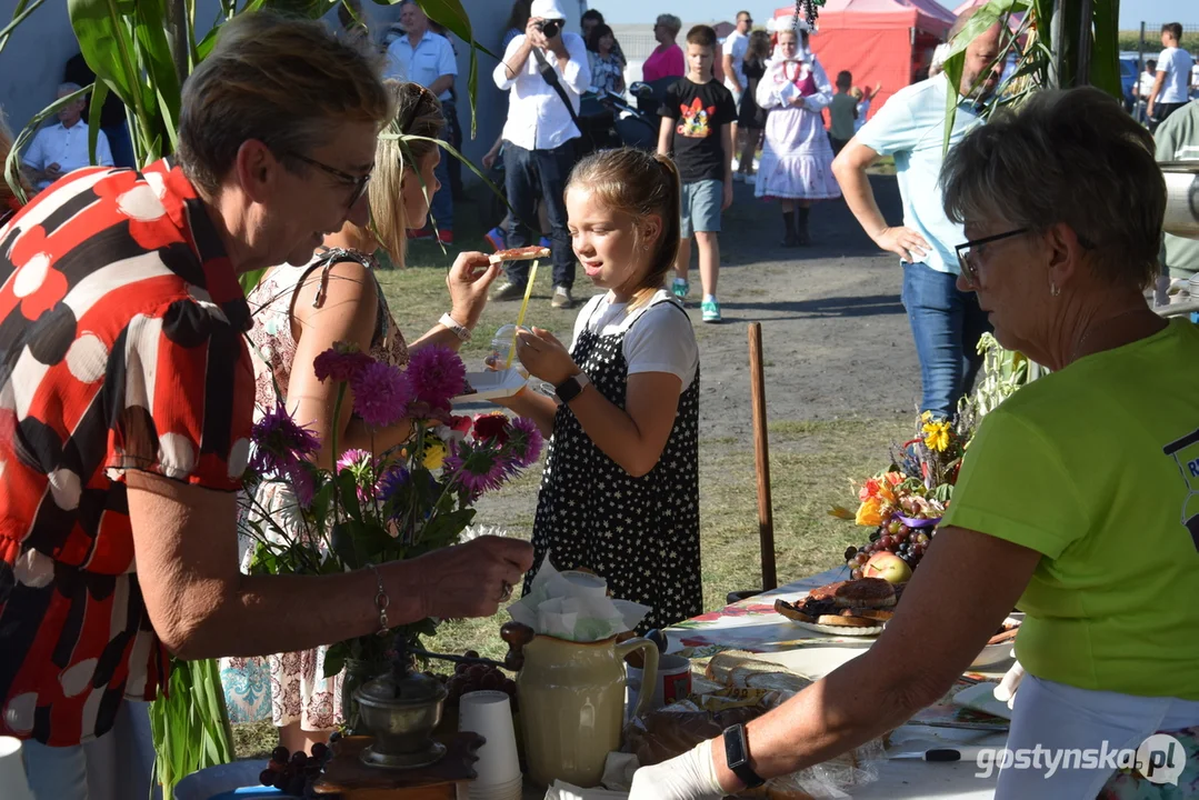 XI Festiwal Tradycji i Folkloru w Domachowie - wesele buskupiańskie i podpisanie umowy partnerskiej