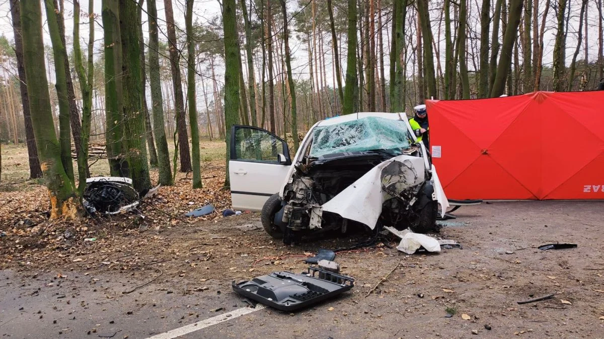 Sześć osób zginęło na drogach powiatu jarocińskiego - Zdjęcie główne