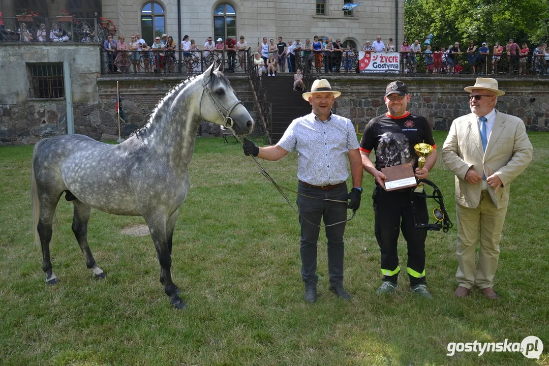 Rokosowo Horse Show 20224 - Konie i Powozy na Zamku Wielkopolskim w Rokosowie