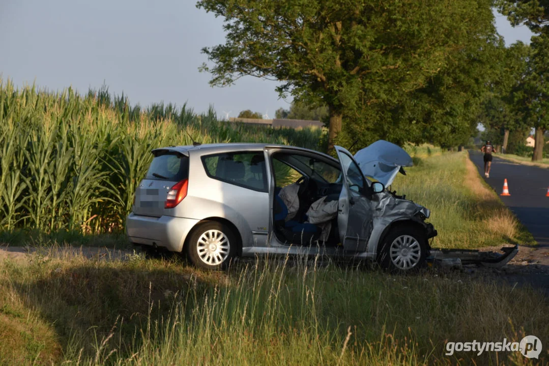 Wypadek na drodze za Pogorzelą