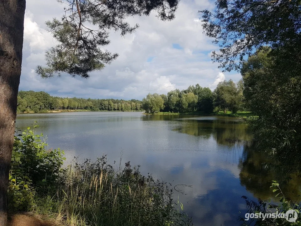 Atrakcje turystyczne powiatu gostyńskiego