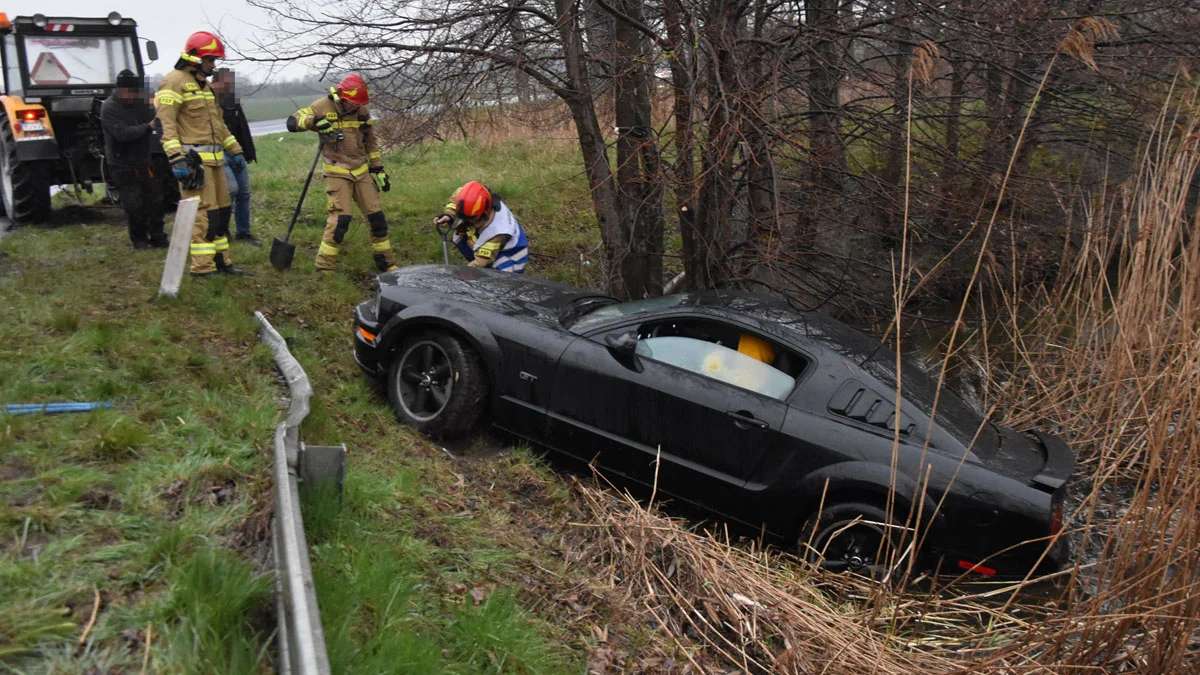 Mustang wpadł do stawu. Potrzebna była pomoc straży pożarnej - Zdjęcie główne