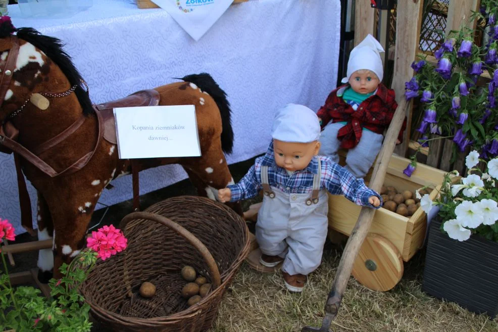 Piknik "Powitanie lata - z kulturą razem" i "Bitwa Regionów" w Kotlinie