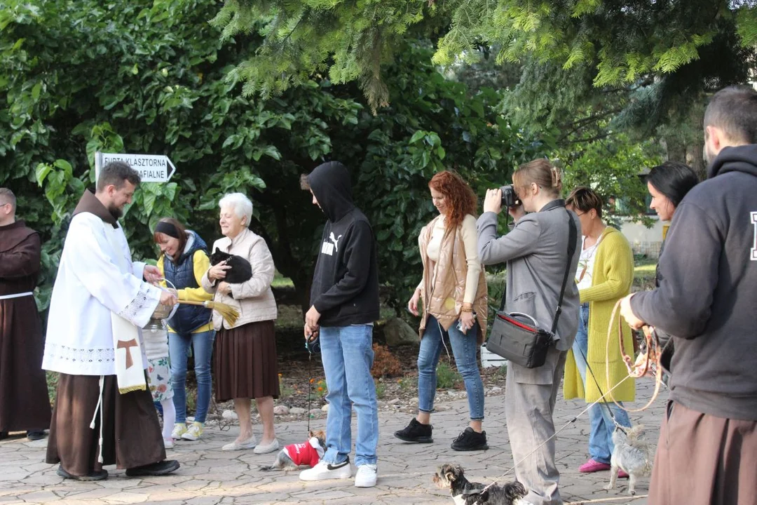 U franciszkanów w Jarocinie z okazji odpustu błogosławiono zwierzęta